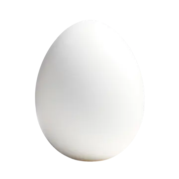 An Egg. (It doesn't do anything yet...)